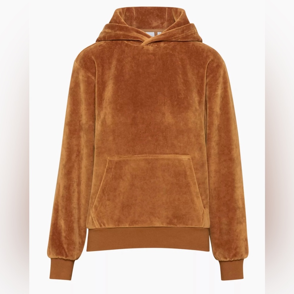 Aritzia Velour Hoodie Medium NWT